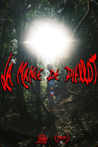 la manie de Pierrot poster