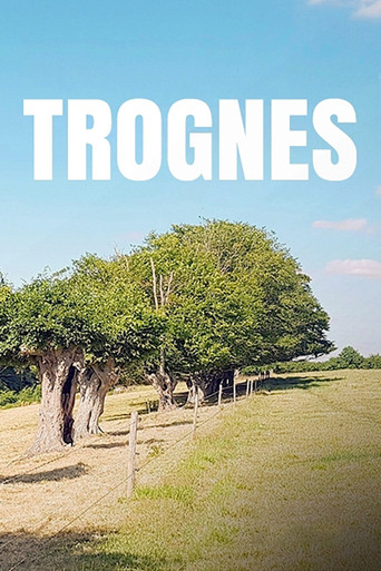 Movie poster for Trognes, les arbres aux mille visages (2019)