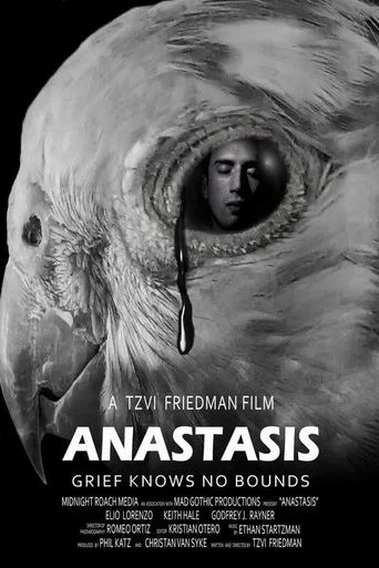 Movie poster for Anastasis (2020)