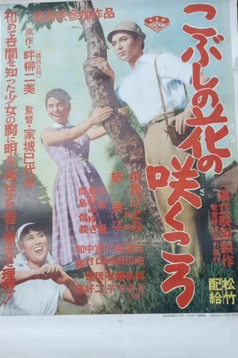 Movie poster for Kobushi no hana no sakukoro (1956)