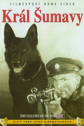 Movie poster for King of the Sumava (1959)