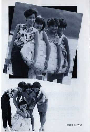 Story of a Summer Experience poster