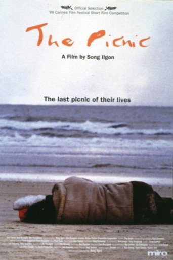Movie poster for The Picnic (1998)