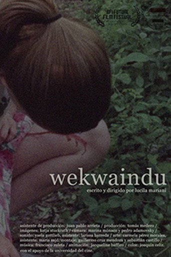 Movie poster for Wekwaindu (2018)