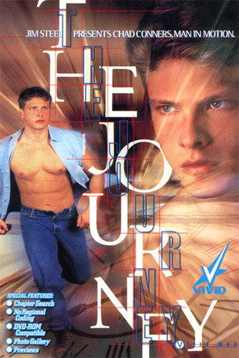 Movie poster for The Journey (1996)