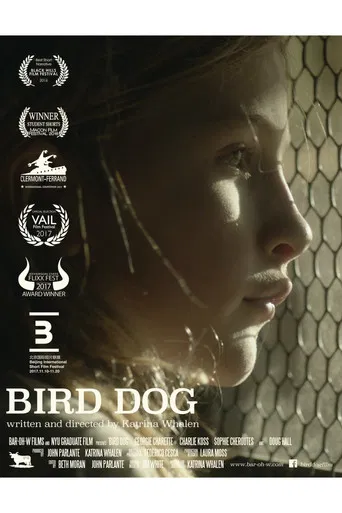 Bird Dog poster