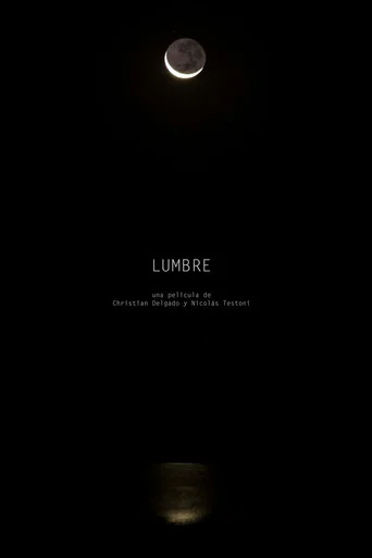 Movie poster for Lumbre (2016)