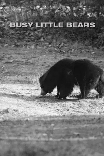 Movie poster for Busy Little Bears (1939)