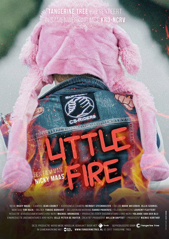 Movie poster for Little Fire (2017)