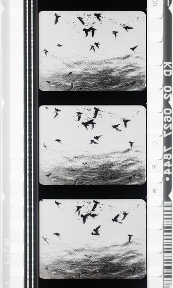 Movie poster for Images en négatif (1955)