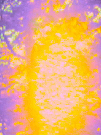 Movie poster for Dream (2000)
