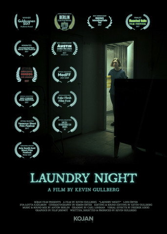 Movie poster for Laundry Night