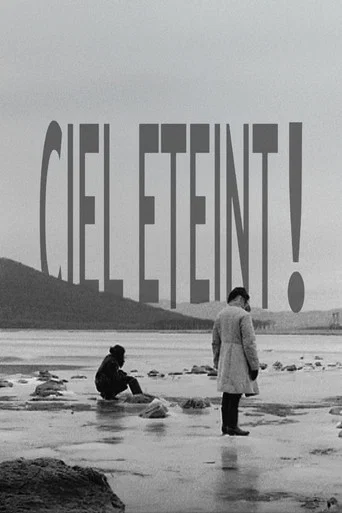 Movie poster for Ciel éteint ! (2008)