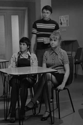 Konec semestru poster