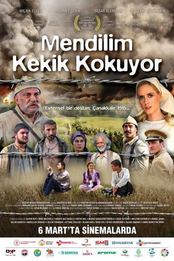 Mendilim Kekik Kokuyor poster