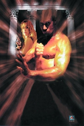 Movie poster for Deadly Heat (1991)