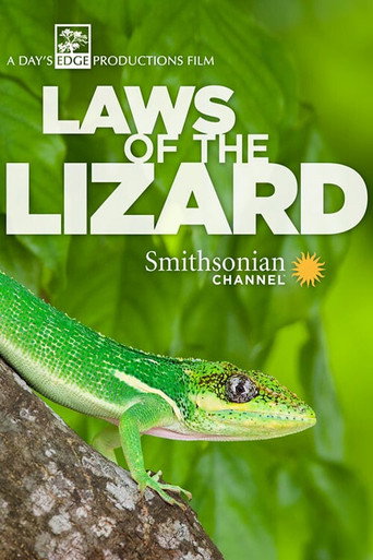 Movie poster for Laws of the Lizard (2017)