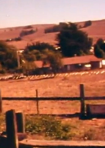 Movie poster for Christo Running Fence Reels: Don’t Squeeze The Fence (1976)