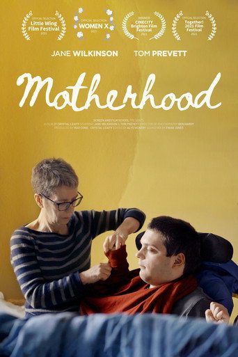 Movie poster for Motherhood