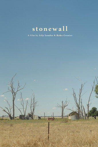 Movie poster for stonewall