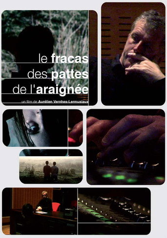 Movie poster for The Crash of the Legs of the Spider (2012)