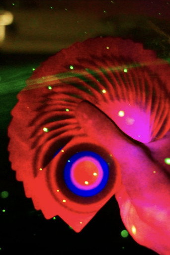 Movie poster for Dirty Eye
