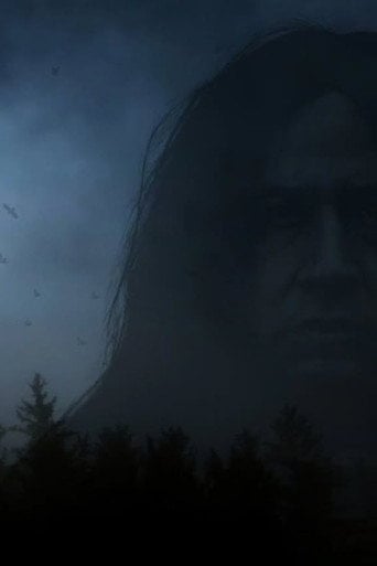 Movie poster for Settler (2024)
