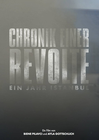 Movie poster for Chronicle of a Revolt: One Year Istanbul (2015)