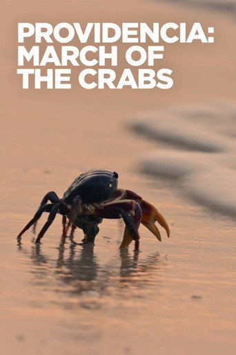 Movie poster for Providencia March of the Crabs (2020)