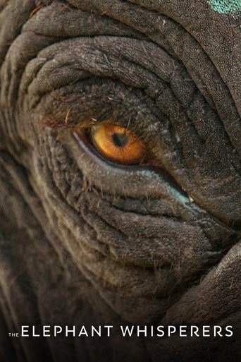 Movie poster for The Elephant Whisperers (2022)