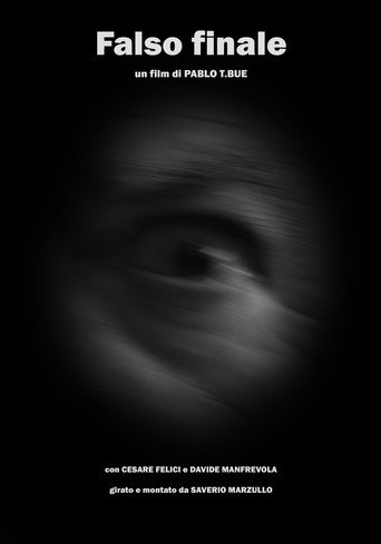 Movie poster for Falso finale (2023)
