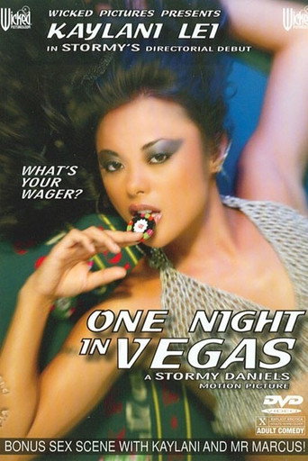 Movie poster for One Night in Vegas (2005)