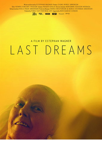 Movie poster for Last Dreams (2013)
