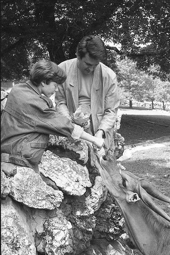 Sunday 9 to 5 poster