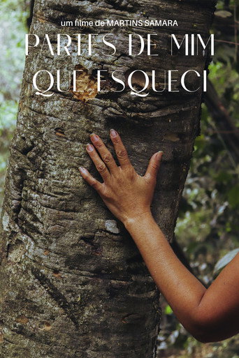 Movie poster for Partes de Mim que Esqueci (2025)