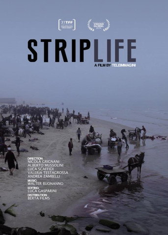 Movie poster for Striplife (2014)