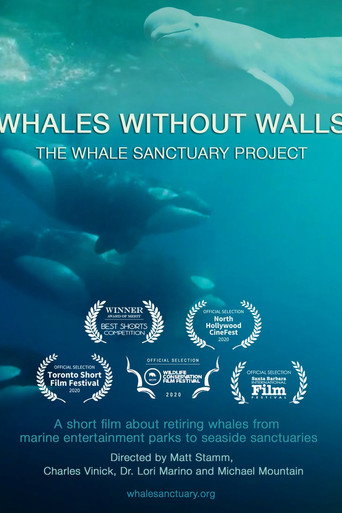 Movie poster for Whales Without Walls (2020)