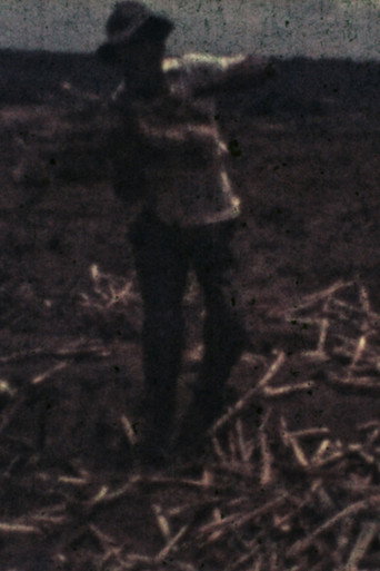 Movie poster for Bangüê (1978)