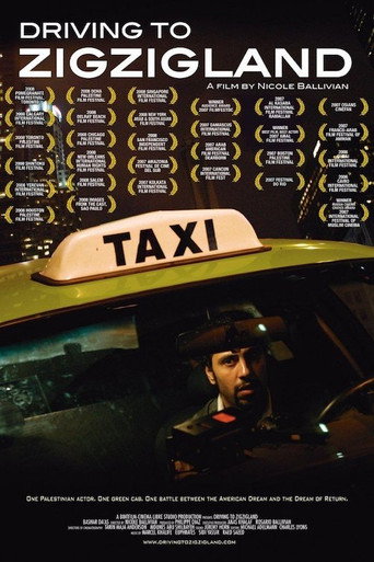 Driving to Zigzigland poster