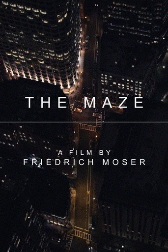 Movie poster for The Maze (2017)