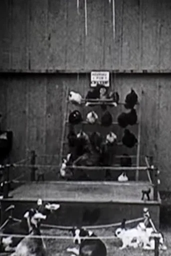 Movie poster for The Knockout (1923)