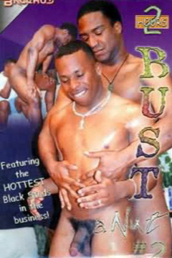 Movie poster for Bust a Nut 2 (2002)