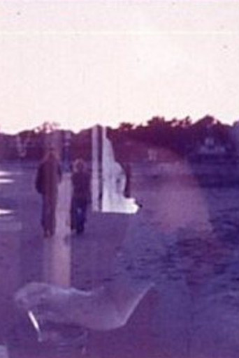 Movie poster for Superimposition (1975)
