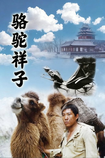 Series poster for 骆驼祥子 (1998)