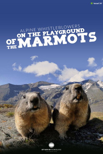 Movie poster for Alpine Whistleblowers - on the playground of the marmots (2018)