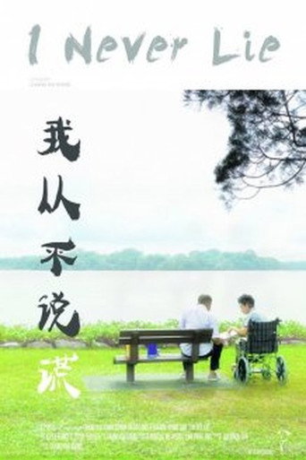 Movie poster for I Never Lie