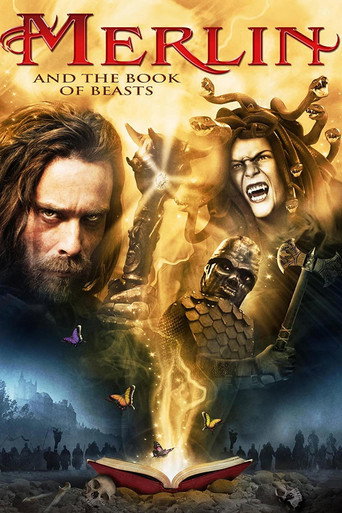 Movie poster for Merlin and the Book of Beasts (2009)