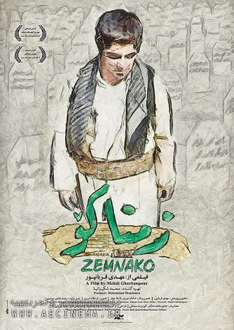 Movie poster for Zemnako (2016)