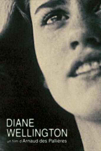 Movie poster for Diane Wellington (2010)