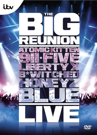 Series poster for The Big Reunion (2013)